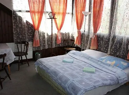Hotel Orgona 2*