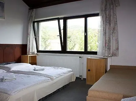 Orgona Hotel 2*